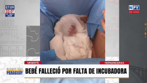 Beba entregada en “caja de cartón seguía viva” pero falleció por falta de incubadora, denuncian familiares