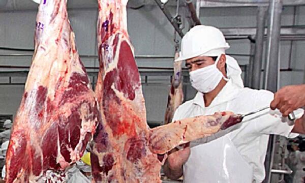MAG busca fortalecer mataderos ante aumento del precio de carne bovina – Prensa 5