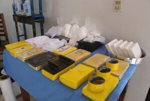 Desmantelan punto de procesamiento artesanal de cocaína que distribuían en Central