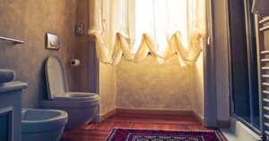 Diario HOY | ¿El baño tiene bidé o bidet?