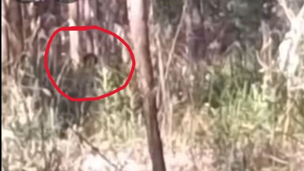 Le grabó al “Jasy Jatere” y ahora ya no quiere volver solo al monte