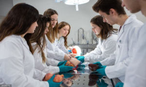 Novedad o innovación: Paraguay no puede ser solo un destino barato para futuros médicos - El Trueno