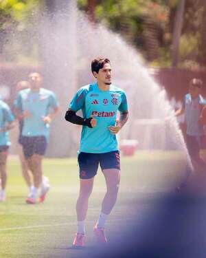 Palmeiras, bajo presión del Flamengo, se cita con Santos - Fútbol Internacional - ABC Color