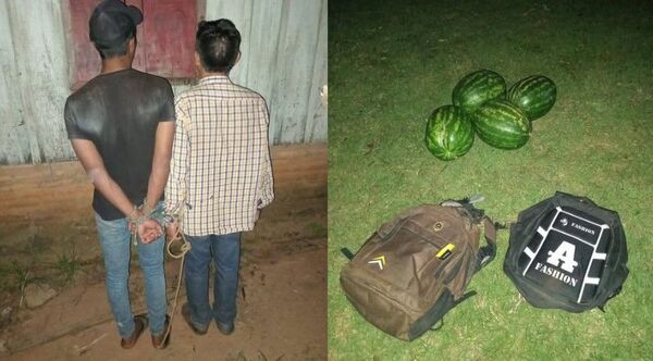 Popular / ¡Ndera! Fueron apresados robando sandias
