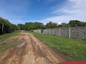 Denuncian que priorizan empedrado frente a la casa del senador Díaz Verón - Nacionales - ABC Color