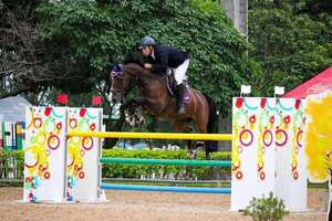 Hipismo: FEI Challenge y 7ª fecha - Polideportivo - ABC Color