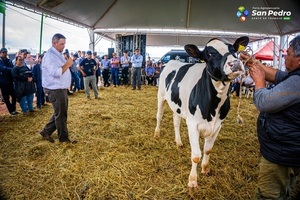 Feria San Pedro dio un nuevo impulso a la cuenca lechera acercando genética, tecnología y capacitación