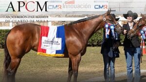 Yegua paraguaya competirá por primera vez en el Mundial de Cuarto de Milla en Estados Unidos