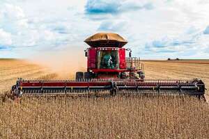 La estrategia para asegurar 3.000 kg por hectárea de soja - ABC Rural - ABC Color