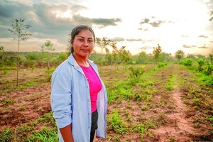 Proeza: Protección Social se Vuelve Bosque y Trabajo