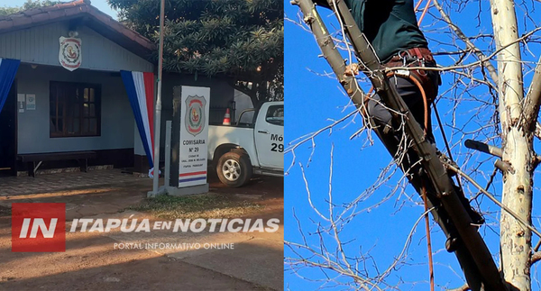 TRABAJADOR SUFRE DESCARGA ELÉCTRICA DURANTE LABORES DE PODA EN GENERAL DELGADO