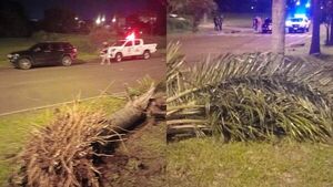 Abogado perdió el control de su vehículo y derribó un árbol en la costanera Bolik de Encarnación