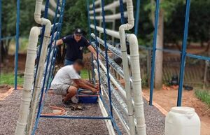 La cosecha de la esperanza: PPL de Emboscada retoma oficio familiar con un invernadero hidropónico