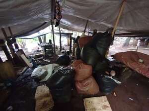 Operación Escudo Guaraní: incautan marihuana en “Cachimbo”, Pedro Juan Caballero - Nacionales - ABC Color