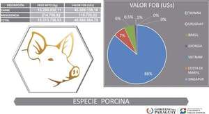 Exportaciones de carne porcina de Paraguay superan a las de 2024 - Económico - ABC Color