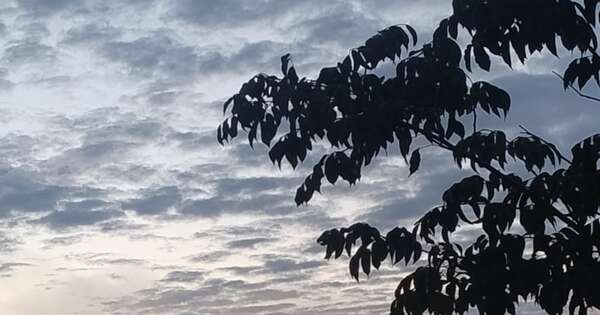 La Nación / Elogio a lo hondo