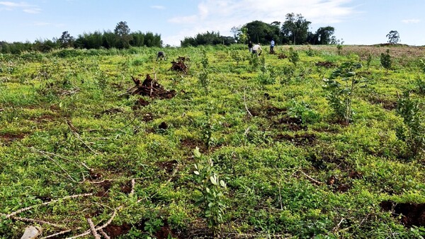 Comunidades enteras desaparecieron en la última década