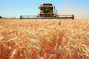 Mercosur en COP30: Postura Firme del Agro y EUDR