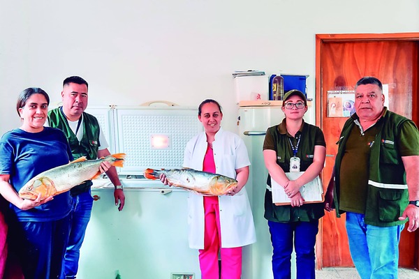 Alimentos Incautados en Veda Van a Hospitales y Escuelas