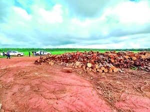 Imputan a dos hombres por Tala y Quema de 40 Hectáreas en AP