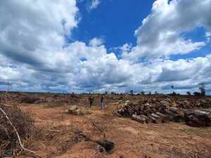 Imputan a dos hermanos por tala de árboles y quema de 40 hectáreas - ADN Digital