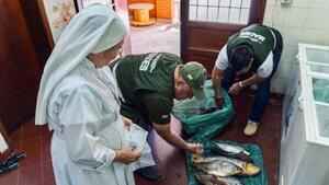 Entre dorado, manguruyú y sábalo, decomisados en veda, enriquecen la mesa de comedores y hospitales