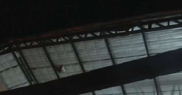 La Nación / Investigan muerte de trabajador tras caer de un tinglado en Asunción