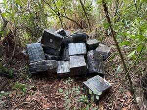 Narcotráfico en la frontera: incautan casi una tonelada de marihuana en el lago Itaipú - ABC en el Este - ABC Color