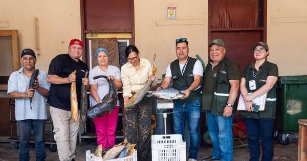 La Nación / Veda pesquera: productos decomisados fueron donados a hospitales, escuelas y hogares