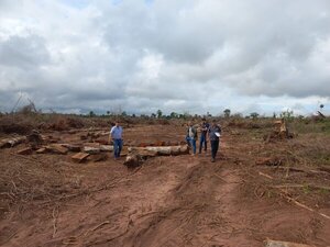 Imputan a dos hermanos por tala y quema de 40 hectáreas de bosque en Santa Rita