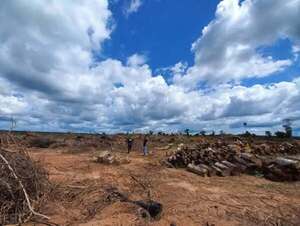 Santa Rita: imputan a dos hermanos por presunta quema de 40 hectáreas de bosque - PDS RADIO Y TV