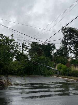 Vientos fuertes derribaron árboles y generaron caos en varias zonas  - Nacionales - ABC Color