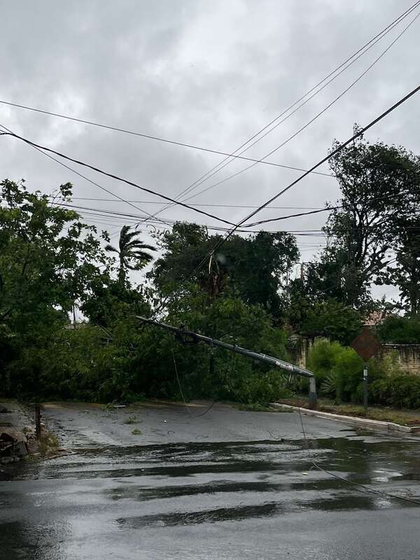 Vientos fuertes derribaron árboles y generaron caos en varias zonas  - Nacionales - ABC Color