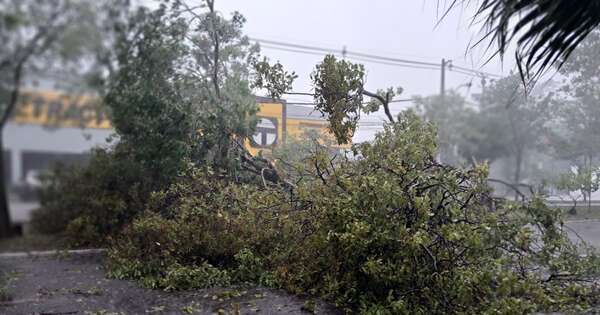 Diario HOY | Tormenta deja árboles caídos y destrozos en Asunción
