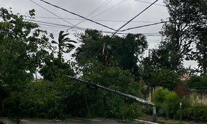 Temporal derriba árboles y columnas y deja sin luz al país