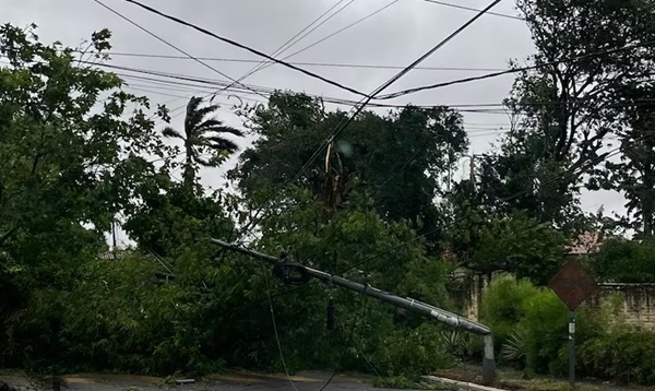 Temporal derriba árboles y columnas y deja sin luz al país