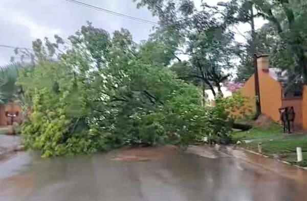 Ráfagas y lluvias intensas sorprendieron este domingo a Caaguazú - Nacionales - ABC Color