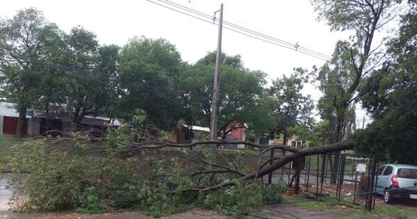 La Nación / Violento temporal de ayer dejó daños en varias ciudades del país