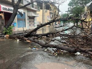 Calles bloqueadas y trabajos de emergencia tras el temporal - Portal Digital Cáritas Universidad Católica