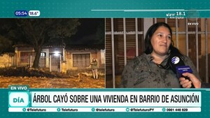 Árbol cayó sobre una vivienda en barrio de Asunción
