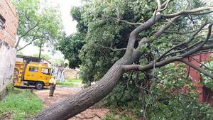 Tormenta causó susto y severos destrozos en gran parte del país | Unicanal