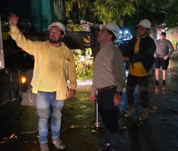 ANDE pretende restablecer hoy todo el suministro eléctrico tras temporal del domingo