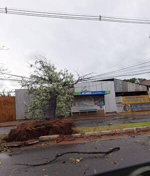 Fuertes vientos y destrozos durante intenso temporal en varios puntos del país - trece
