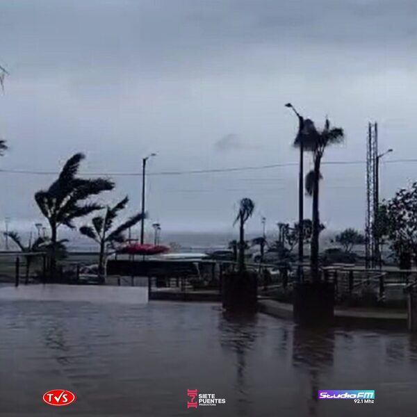 TEMPORAL EN PARAGUAY: CERCA DE 50.000 CLIENTES DE LA ANDE QUEDARON SIN LUZ POR FUERTES VIENTOS Y CAÍDA DE ÁRBOLES - «TVS DIGITAL»