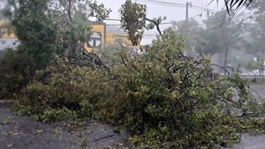 Vientos de hasta 105 km/h y hasta 70 mm de lluvia: primer reporte de Meteorología - ADN Digital