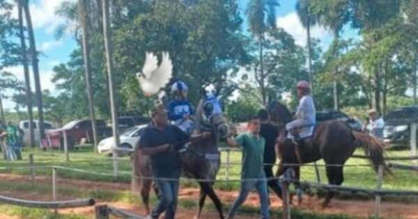 La Nación / Un hombre falleció de un infarto fulminante mientras participaba de una carrera de caballos