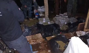 Operación Escudo Guaraní incauta más de 10 toneladas de marihuana en Amambay - OviedoPress