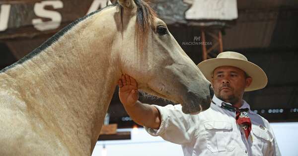 La Nación / El Gran Remate de Criollos de la Ganadera logró una gran participación