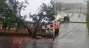 TRAS FUERTE TEMPORAL, LA ANDE INTENSIFICA TRABAJOS PARA RESTABLECER EL SERVICIO 