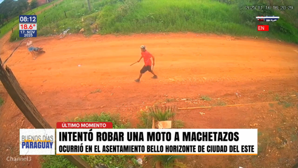 Detienen al hombre que atacó con dos machetes a una pareja para robar una moto